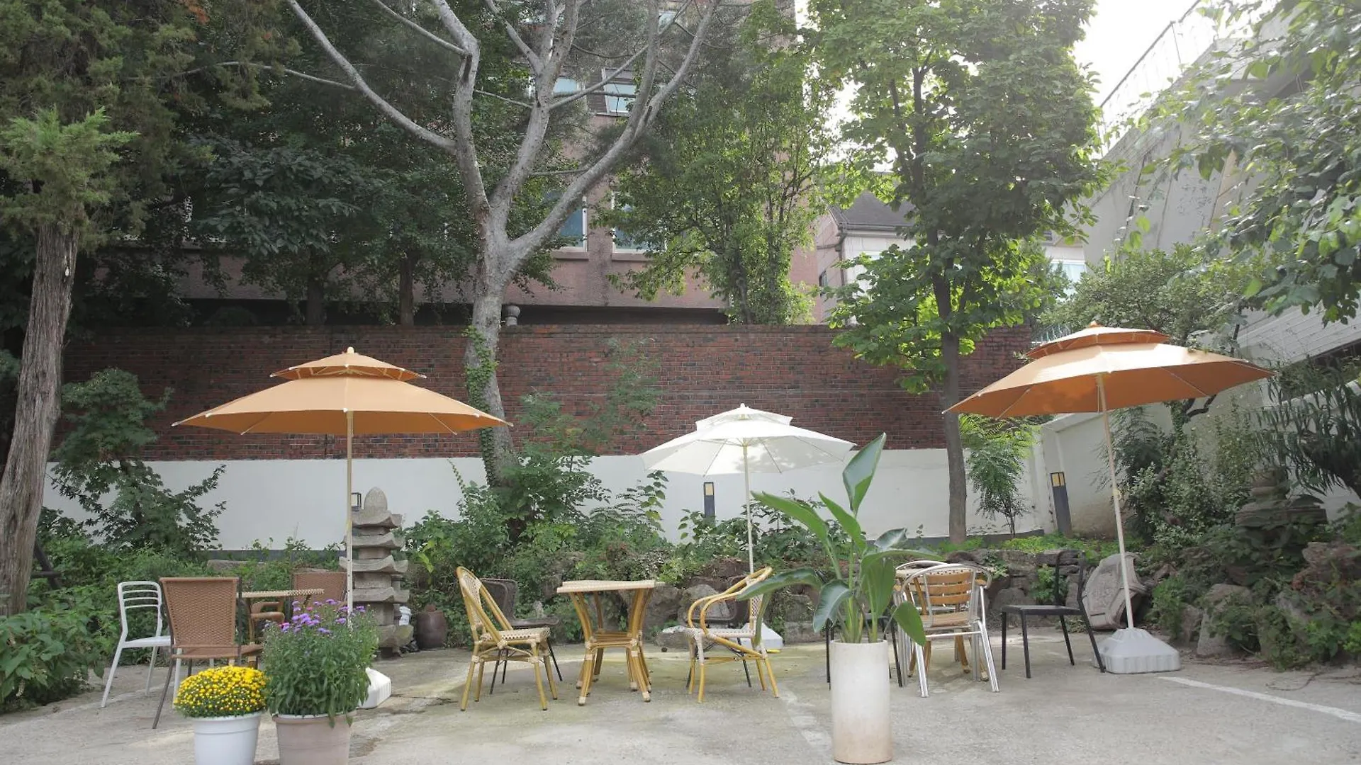 Slow Vibe Myeongdong Seoul